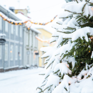 Jouluinen päivämatka Lauantai 28.11.2026