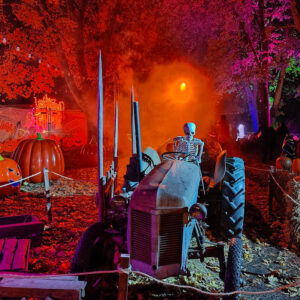 Retki Halloween puistoon – Puotilan Kartanolle la 24.10.2026